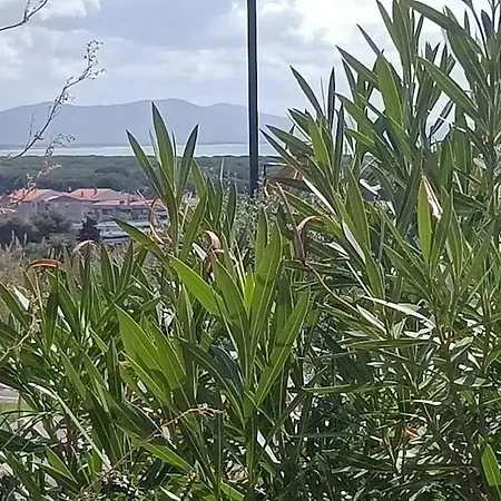 Con Vista Mare Castiglione della Pescaia